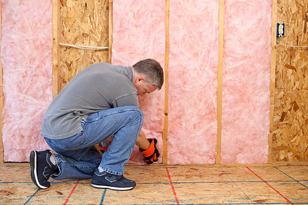 Best Geographic-Specific Insulation Services in Tipton, MO